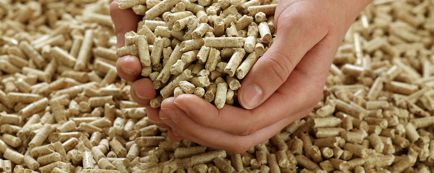 pellets-A2.jpg